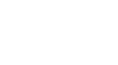 AlfaFest #18